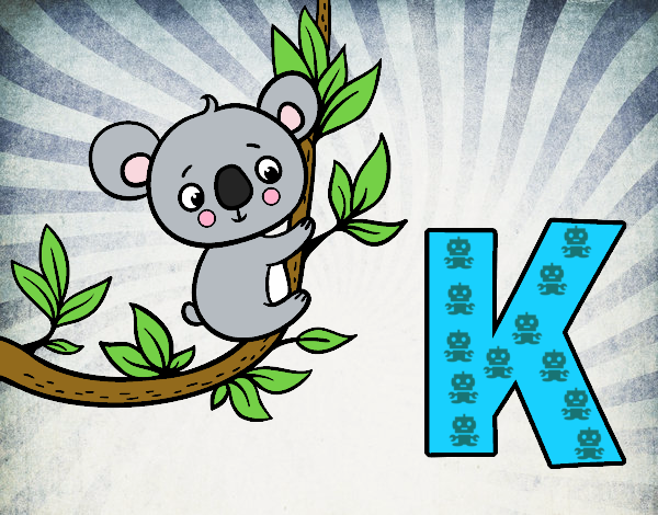 K de Koala