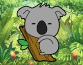 Koala bebé