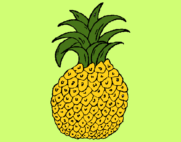 piña