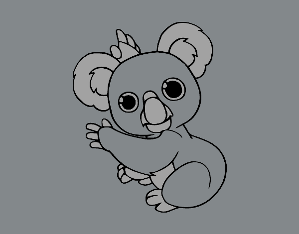 Un Koala