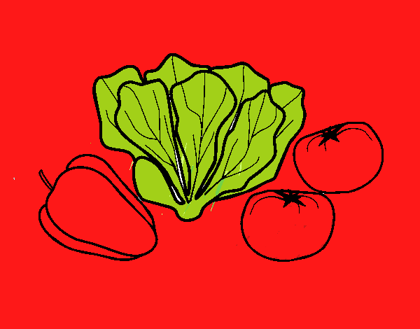 Verduras 1