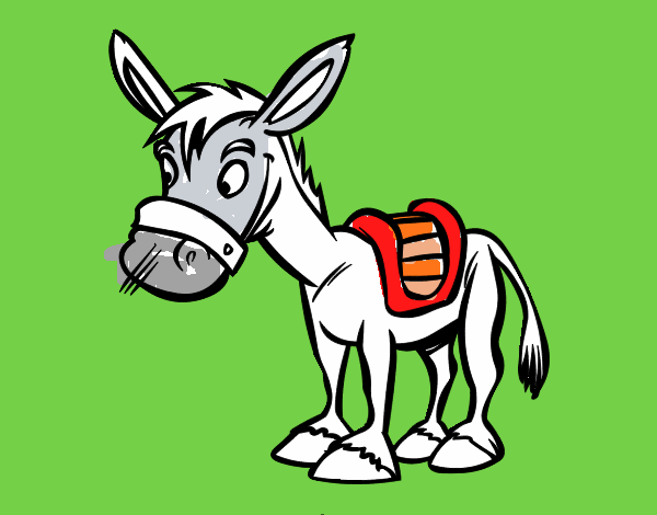 Burro de granja