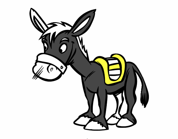 Burro de granja