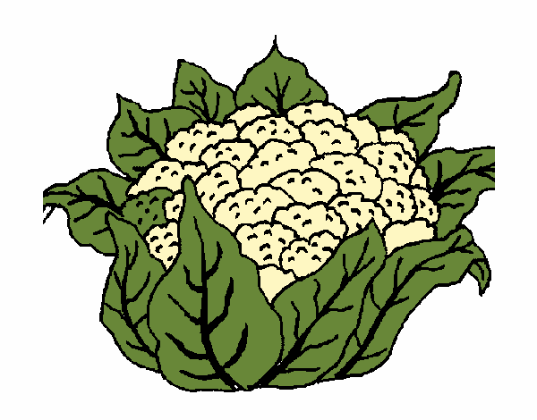 coliflor