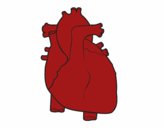 Dibujo Corazón humano pintado por kjdfshiudf