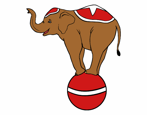 Elefante equilibrista