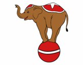 Dibujo Elefante equilibrista pintado por kjdfshiudf