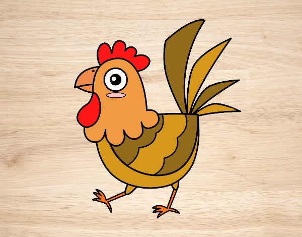 Gallina de granja