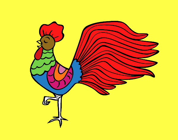 Gallo salvaje