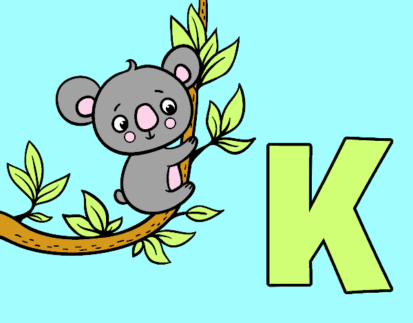 K de Koala