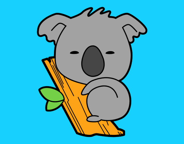 Koala bebé