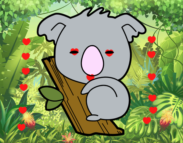 Koala bebé