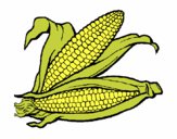 Dibujo Mazorca de maíz pintado por kjdfshiudf