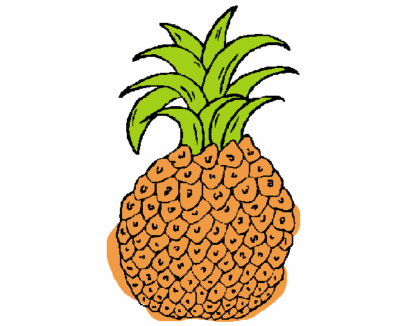 piña