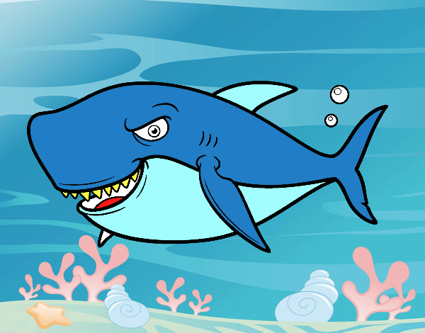 Dibujo Tiburón dentudo pintado por neysiberth