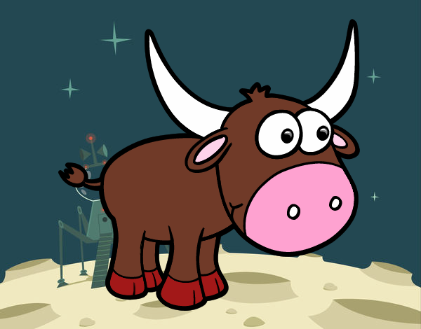 Torito