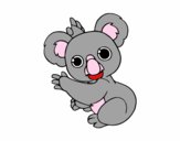 Un Koala