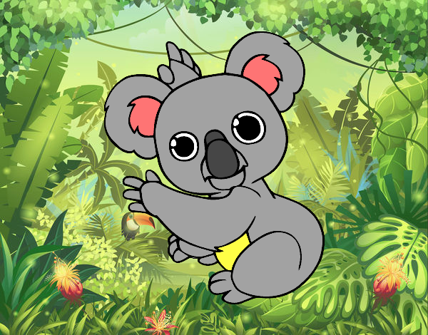 Un Koala