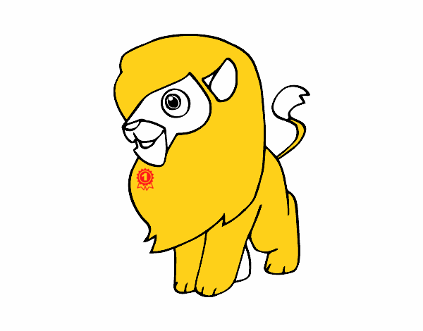 Un león