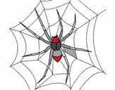 Araña