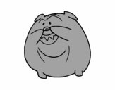 Bulldog sonriendo