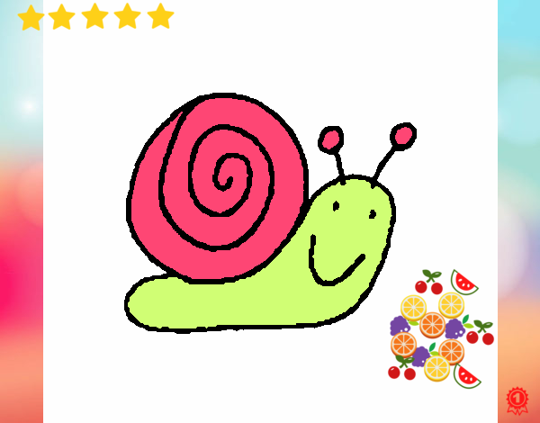 Caracol 4