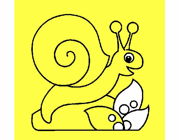 Caracol