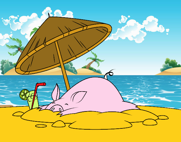 Cerdito en la playa