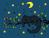 El gato y la luna