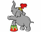 Elefante