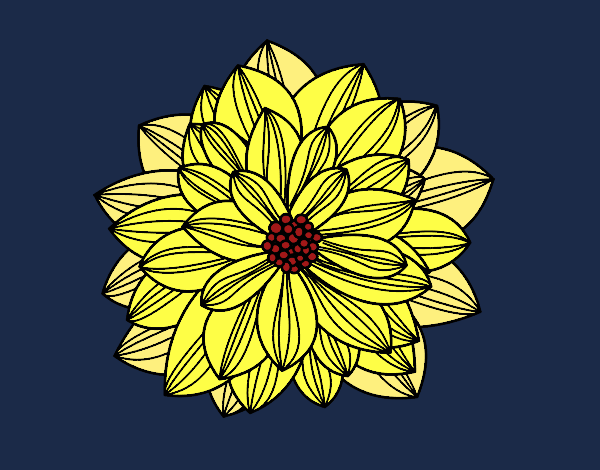 Flor de dalia