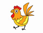 Gallina de granja