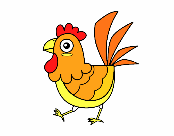 Gallina de granja