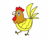 Gallina de granja