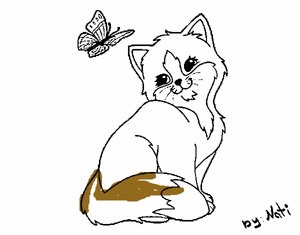 Gatito y mariposa