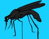 Dibujo Mosquito pintado por LunaLunita
