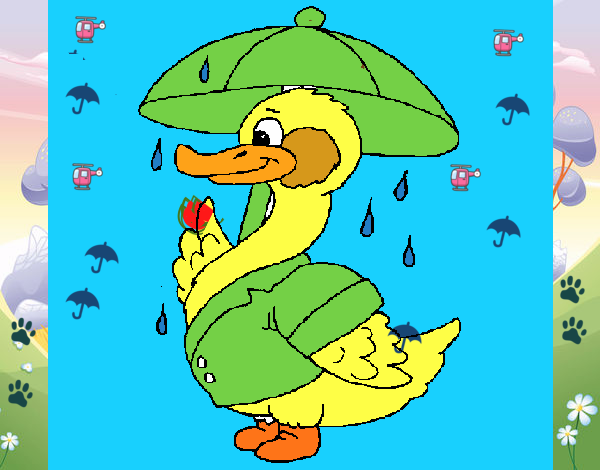 Pato bajo la lluvia