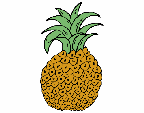 piña