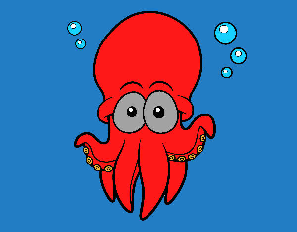 Pulpo rojo