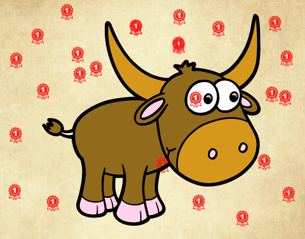 Torito