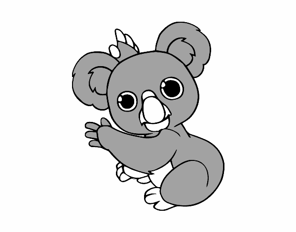 Un Koala