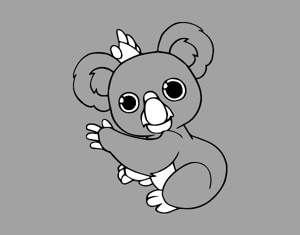 Un Koala