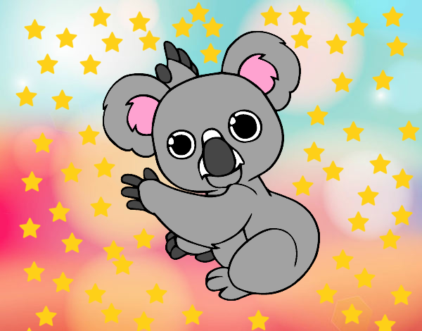 Un Koala