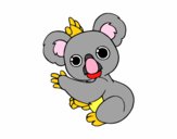 Un Koala