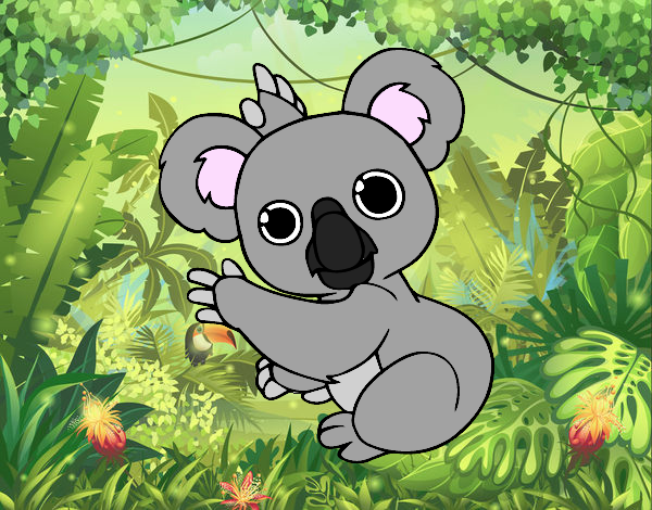 Un Koala