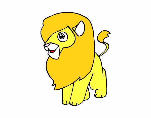 Un león