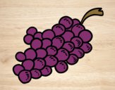 Dibujo Uvas moradas pintado por kjdfshiudf