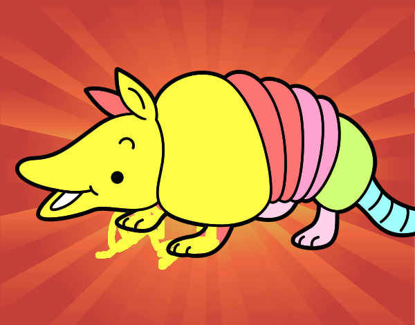 Armadillo joven