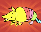 Armadillo joven