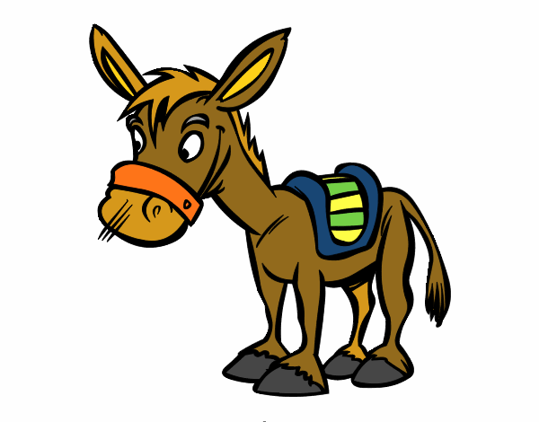 Burro de granja